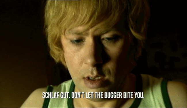SCHLAF GUT. DON'T LET THE BUGGER BITE YOU.  