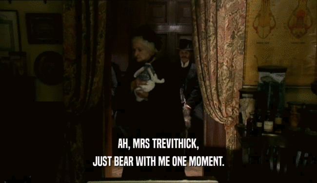 AH, MRS TREVITHICK,
 JUST BEAR WITH ME ONE MOMENT.
 