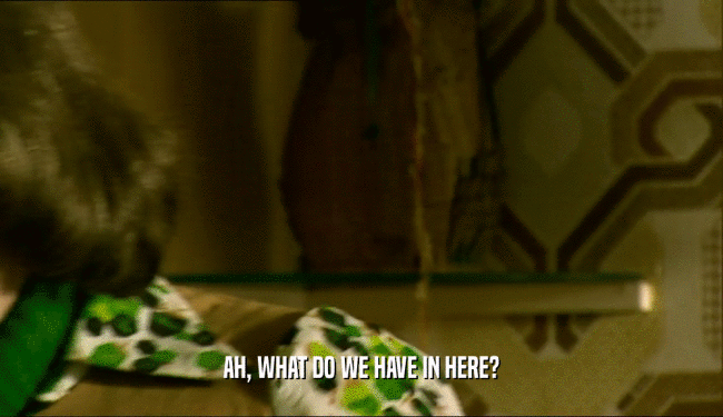 AH, WHAT DO WE HAVE IN HERE?  