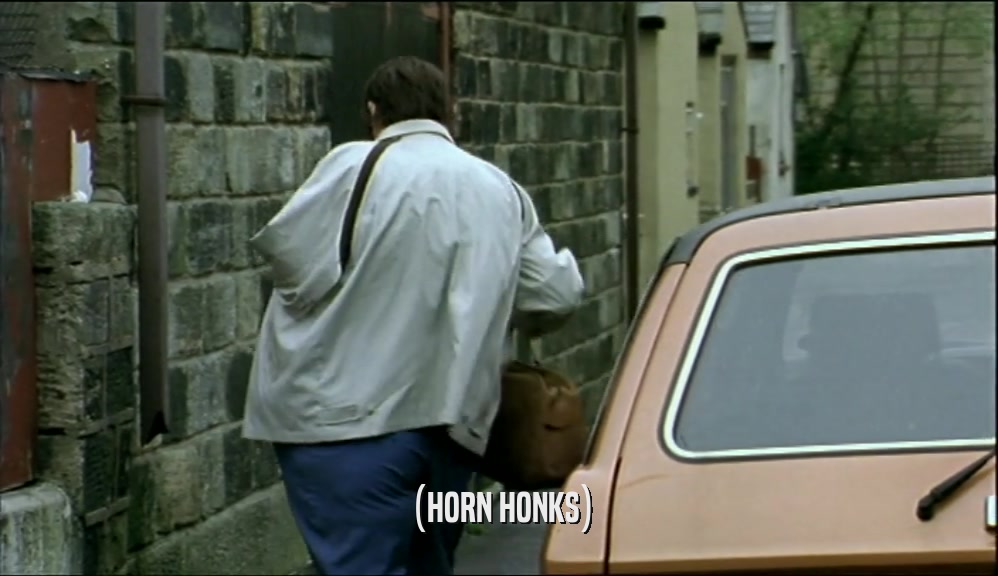 (HORN HONKS)  