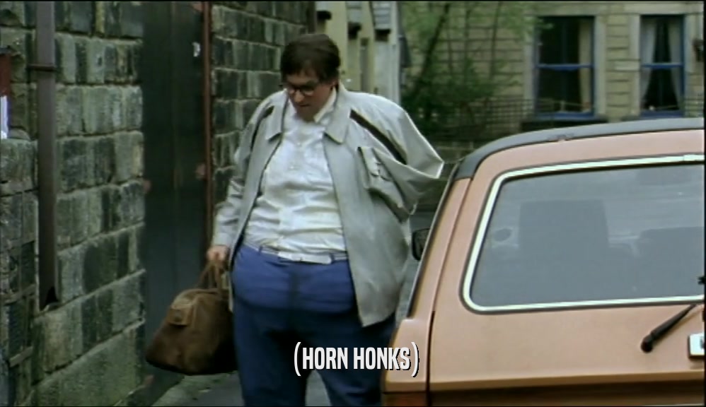(HORN HONKS)  