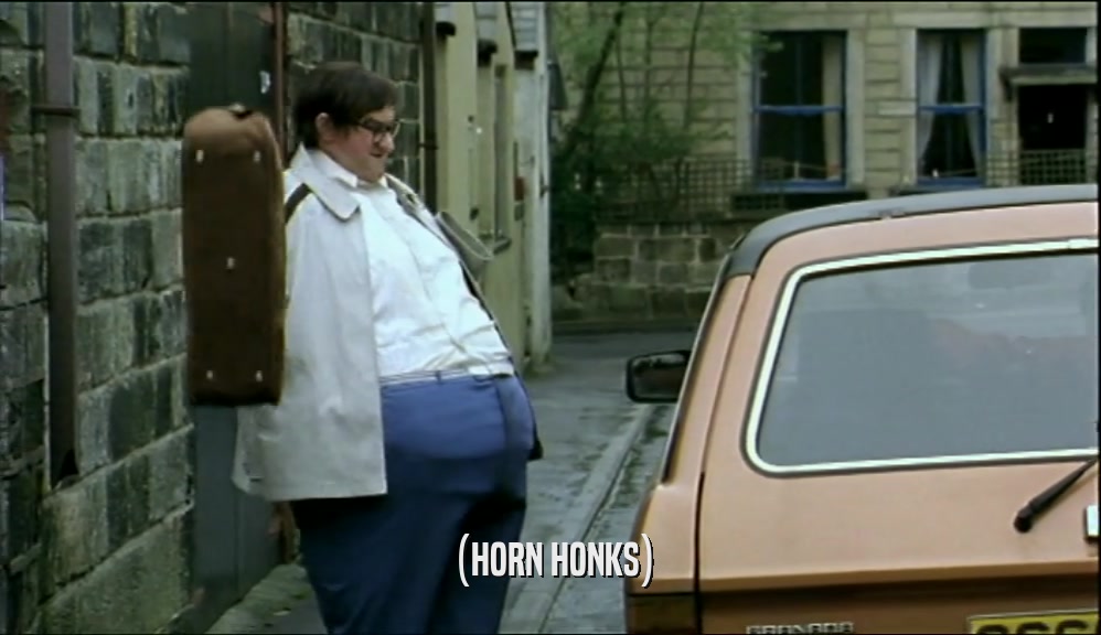 (HORN HONKS)  