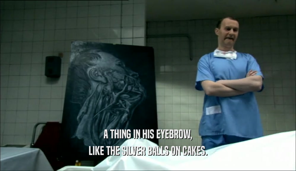 A THING IN HIS EYEBROW, LIKE THE SILVER BALLS ON CAKES. 