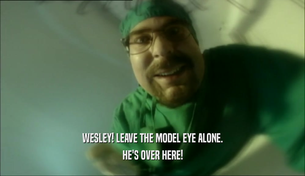 WESLEY! LEAVE THE MODEL EYE ALONE. HE'S OVER HERE! 