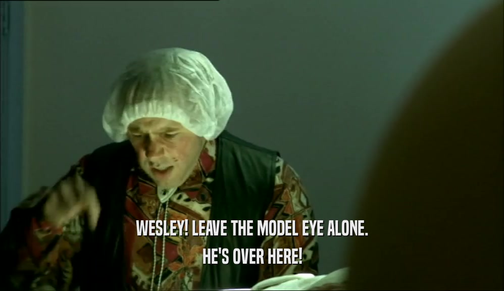 WESLEY! LEAVE THE MODEL EYE ALONE. HE'S OVER HERE! 