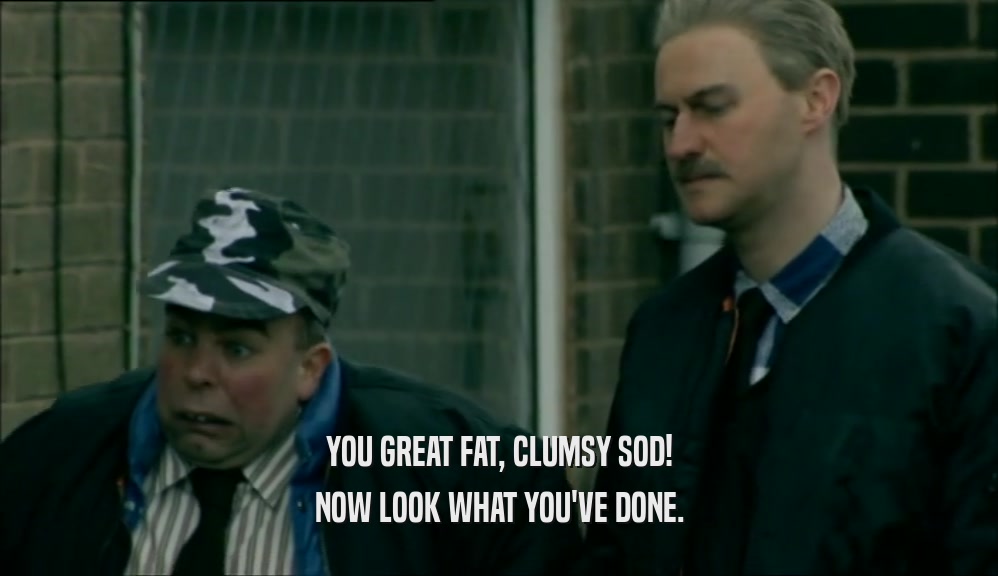 YOU GREAT FAT, CLUMSY SOD!
 NOW LOOK WHAT YOU'VE DONE.
 