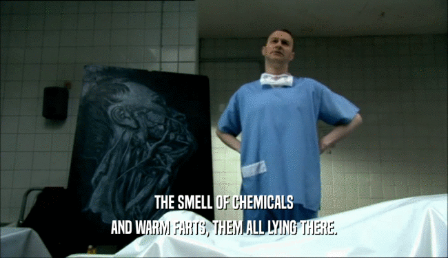 THE SMELL OF CHEMICALS AND WARM FARTS, THEM ALL LYING THERE. 