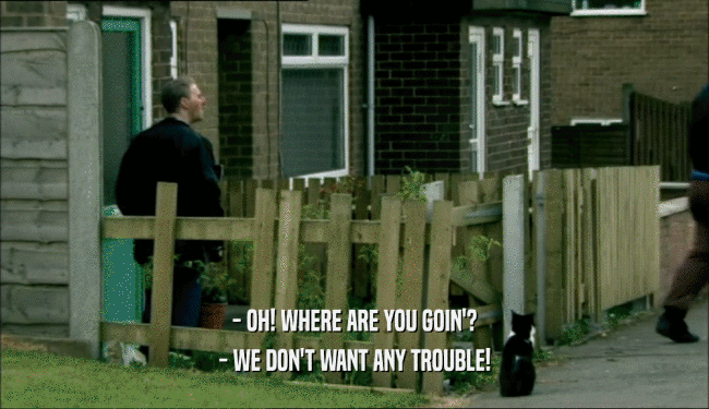 - OH! WHERE ARE YOU GOIN'? - WE DON'T WANT ANY TROUBLE! 