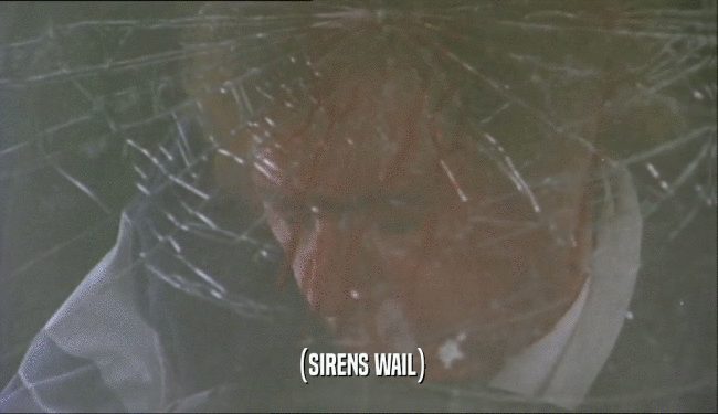 (SIRENS WAIL)  