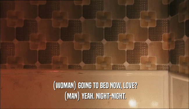 (WOMAN) GOING TO BED NOW, LOVE?
 (MAN) YEAH. NIGHT-NIGHT.
 