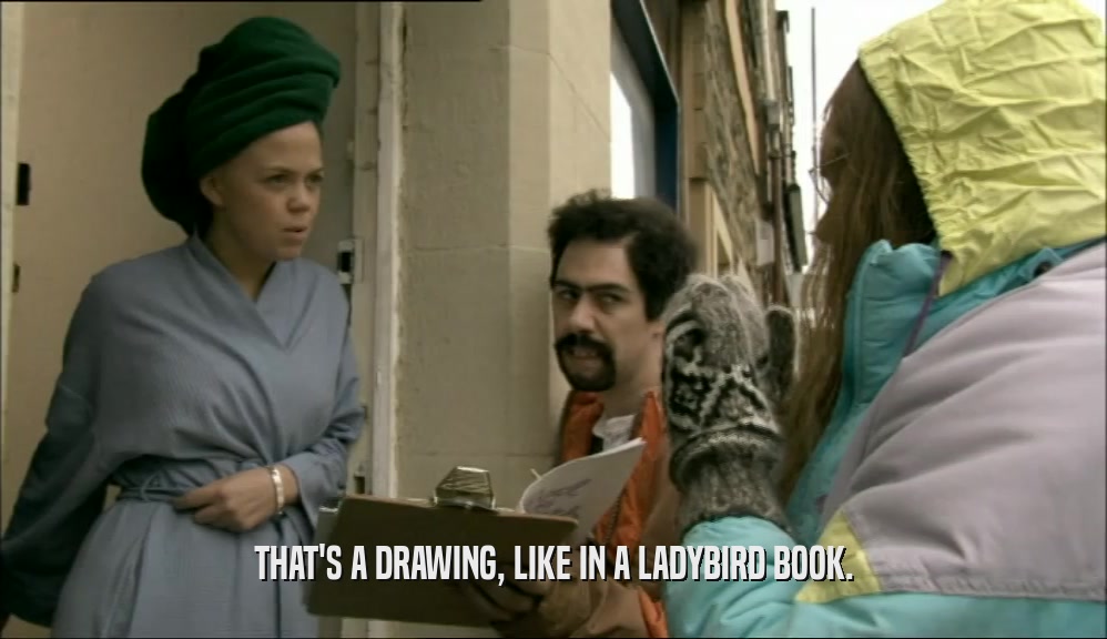 THAT'S A DRAWING, LIKE IN A LADYBIRD BOOK.  