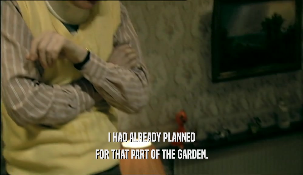 I HAD ALREADY PLANNED FOR THAT PART OF THE GARDEN. 