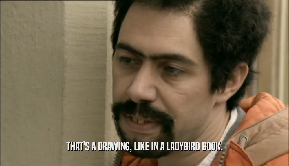 THAT'S A DRAWING, LIKE IN A LADYBIRD BOOK.  