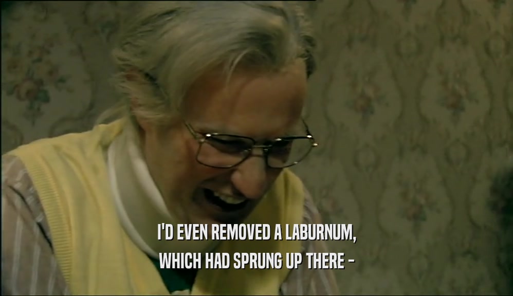 I'D EVEN REMOVED A LABURNUM, WHICH HAD SPRUNG UP THERE - 