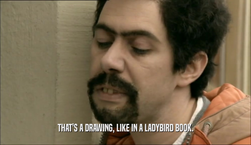 THAT'S A DRAWING, LIKE IN A LADYBIRD BOOK.  
