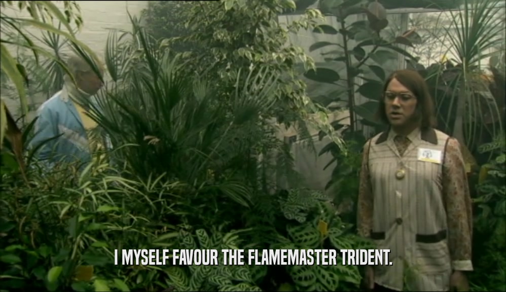 I MYSELF FAVOUR THE FLAMEMASTER TRIDENT.  
