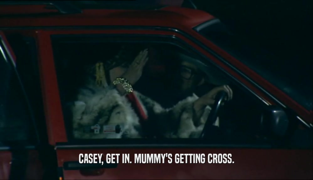 CASEY, GET IN. MUMMY'S GETTING CROSS.  
