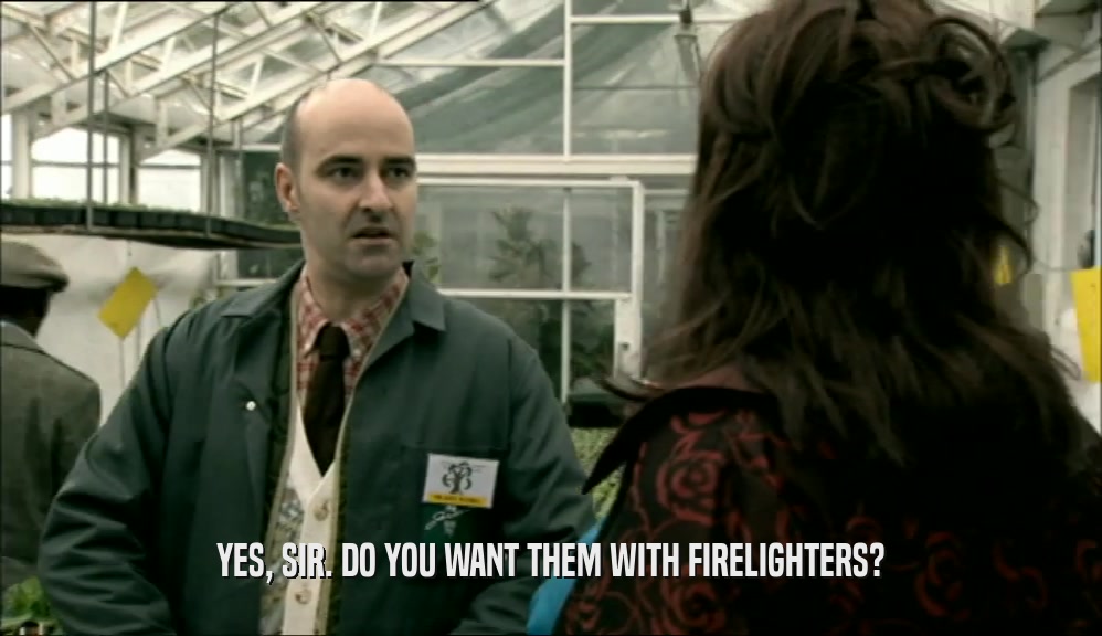 YES, SIR. DO YOU WANT THEM WITH FIRELIGHTERS?  