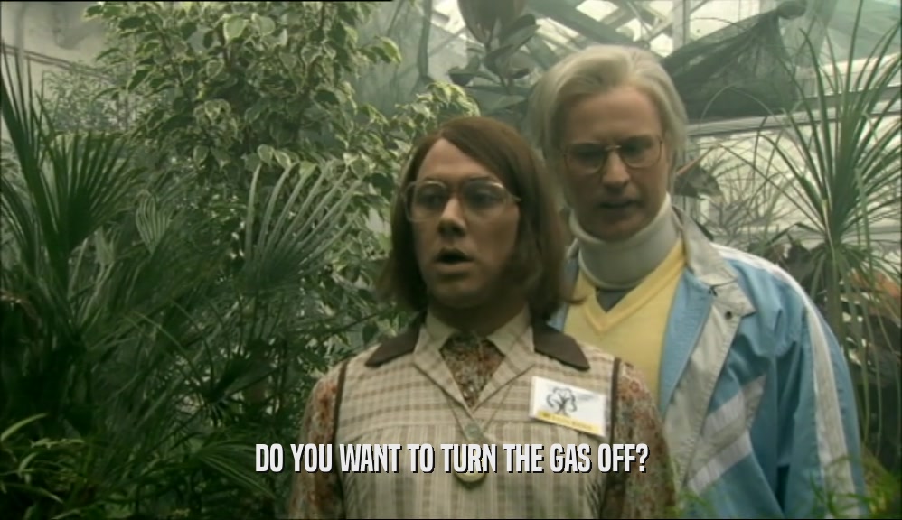 DO YOU WANT TO TURN THE GAS OFF?  