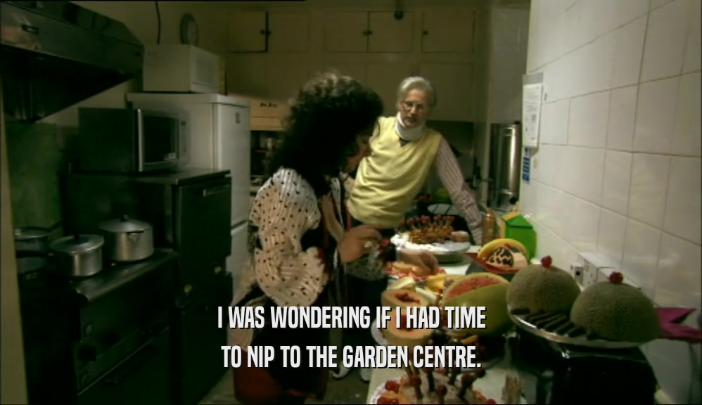 I WAS WONDERING IF I HAD TIME TO NIP TO THE GARDEN CENTRE. 