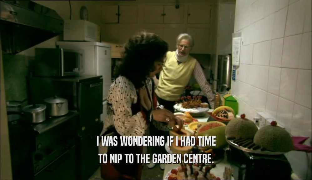 I WAS WONDERING IF I HAD TIME TO NIP TO THE GARDEN CENTRE. 