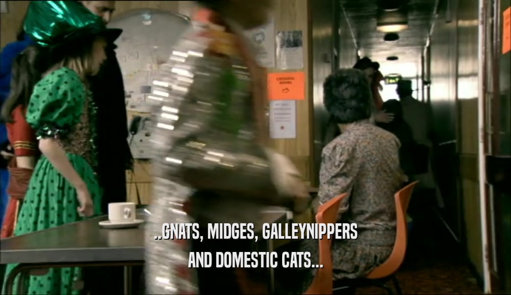 ..GNATS, MIDGES, GALLEYNIPPERS AND DOMESTIC CATS... 