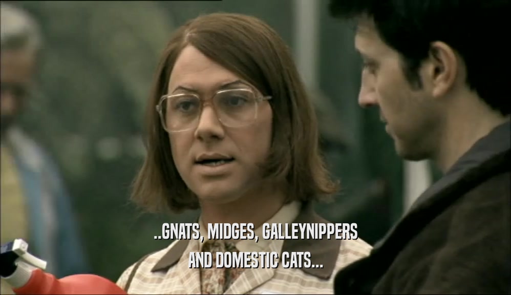 ..GNATS, MIDGES, GALLEYNIPPERS AND DOMESTIC CATS... 