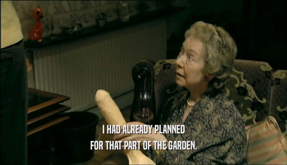 I HAD ALREADY PLANNED FOR THAT PART OF THE GARDEN. 