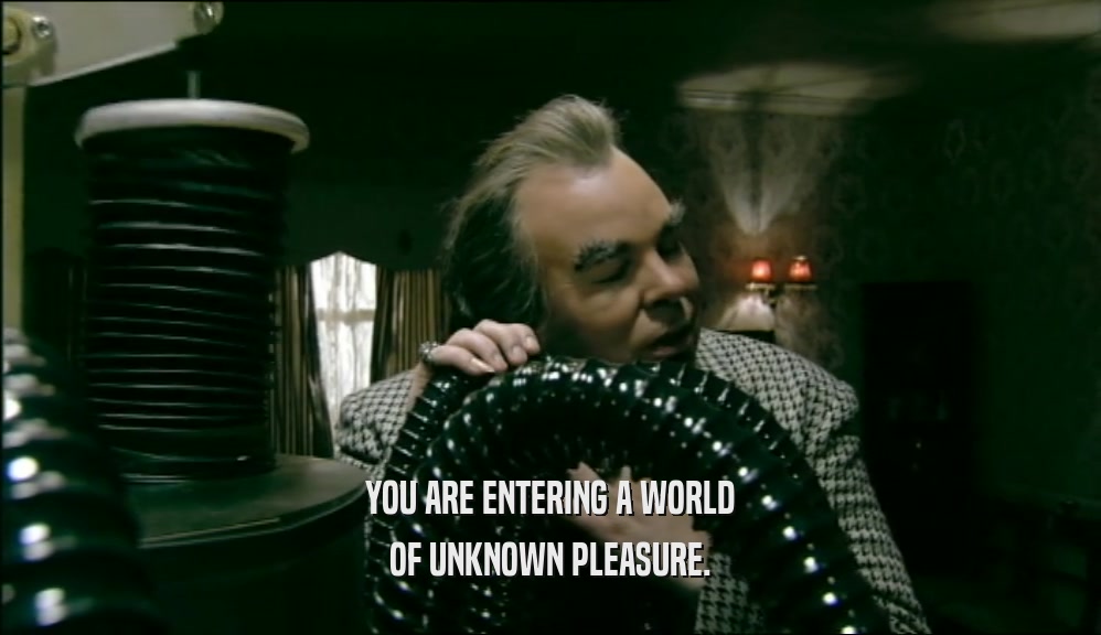 YOU ARE ENTERING A WORLD OF UNKNOWN PLEASURE. 