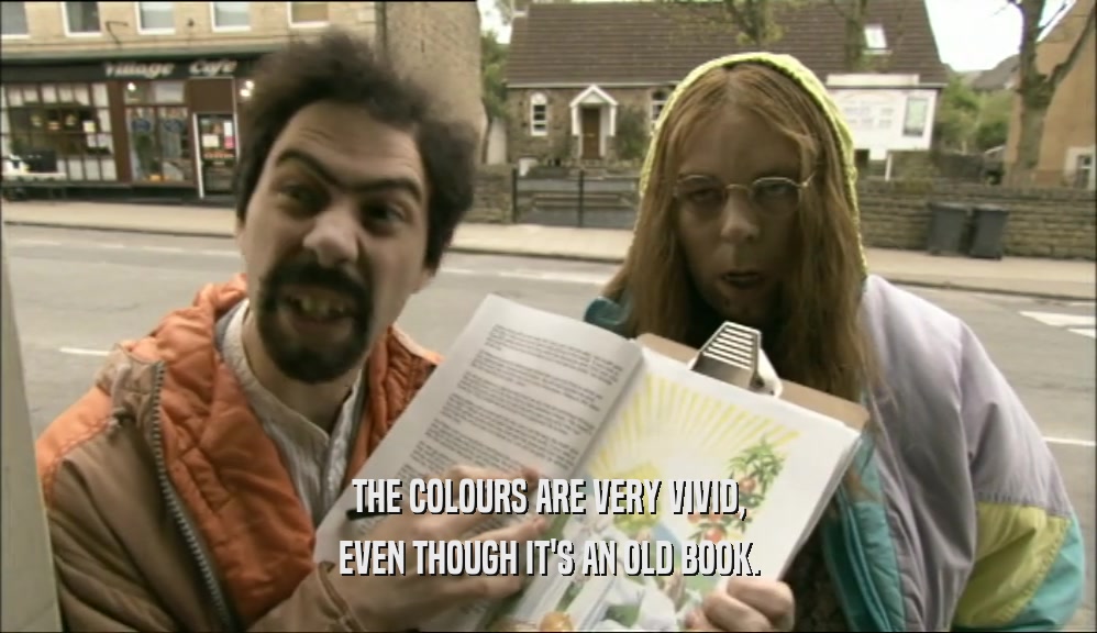 THE COLOURS ARE VERY VIVID, EVEN THOUGH IT'S AN OLD BOOK. 