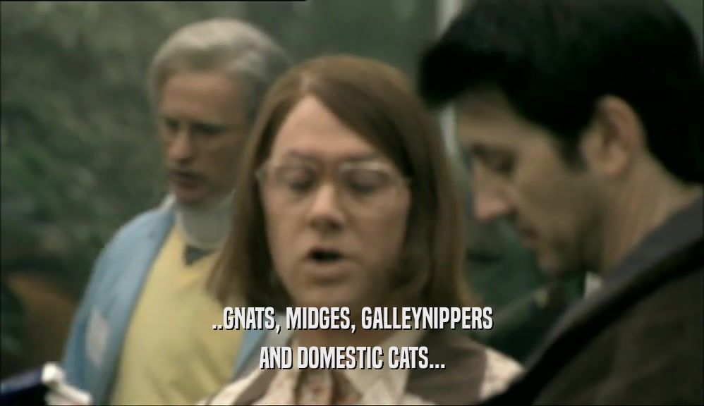 ..GNATS, MIDGES, GALLEYNIPPERS AND DOMESTIC CATS... 