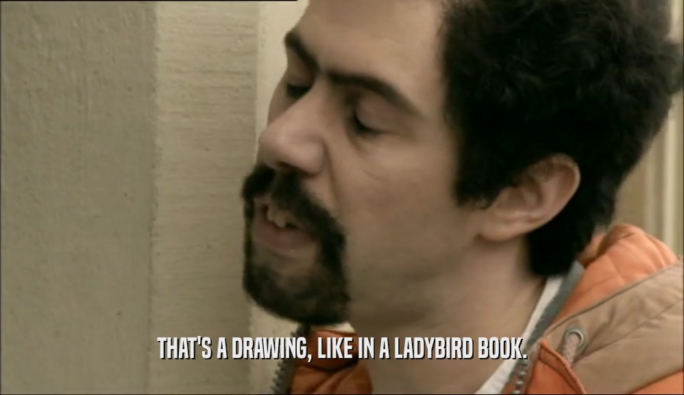 THAT'S A DRAWING, LIKE IN A LADYBIRD BOOK.  
