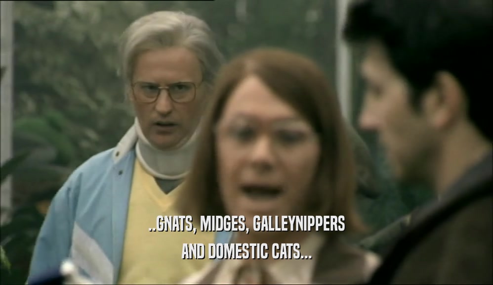 ..GNATS, MIDGES, GALLEYNIPPERS AND DOMESTIC CATS... 