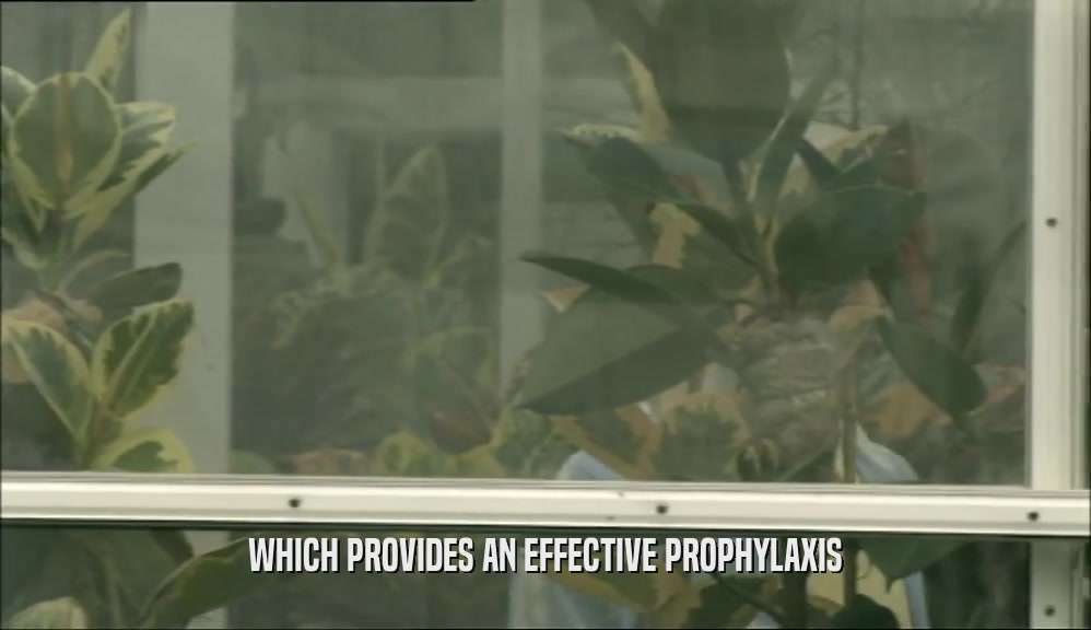 WHICH PROVIDES AN EFFECTIVE PROPHYLAXIS
  