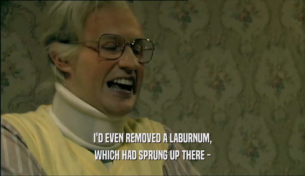 I'D EVEN REMOVED A LABURNUM, WHICH HAD SPRUNG UP THERE - 