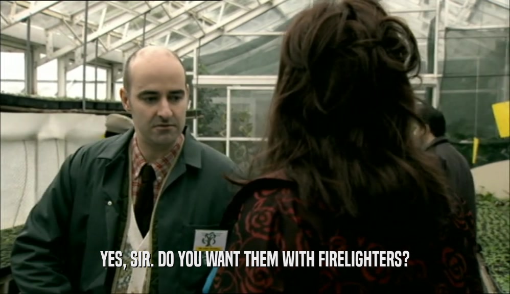 YES, SIR. DO YOU WANT THEM WITH FIRELIGHTERS?  