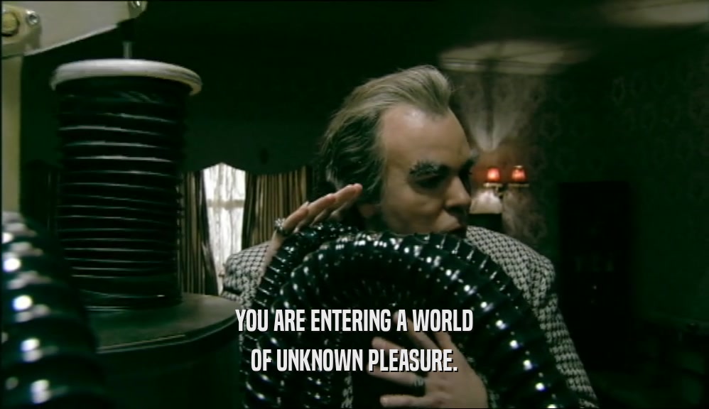 YOU ARE ENTERING A WORLD OF UNKNOWN PLEASURE. 