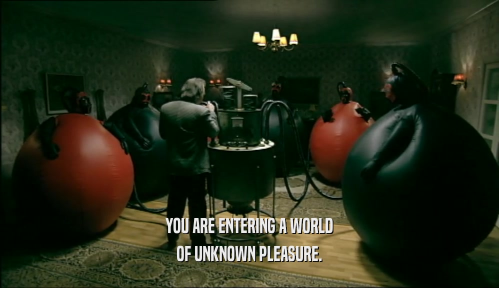 YOU ARE ENTERING A WORLD OF UNKNOWN PLEASURE. 