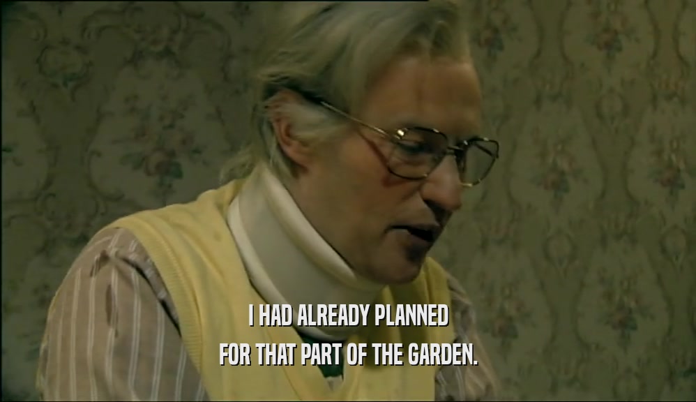 I HAD ALREADY PLANNED FOR THAT PART OF THE GARDEN. 