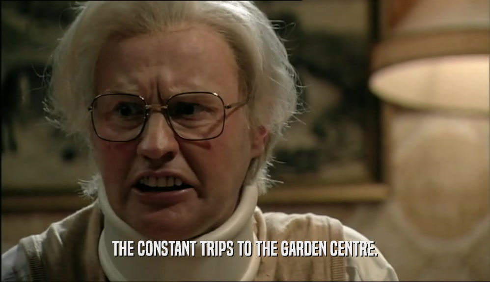 THE CONSTANT TRIPS TO THE GARDEN CENTRE.
  