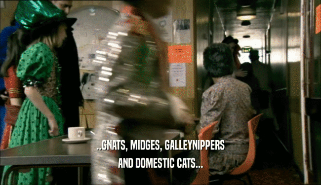 ..GNATS, MIDGES, GALLEYNIPPERS AND DOMESTIC CATS... 