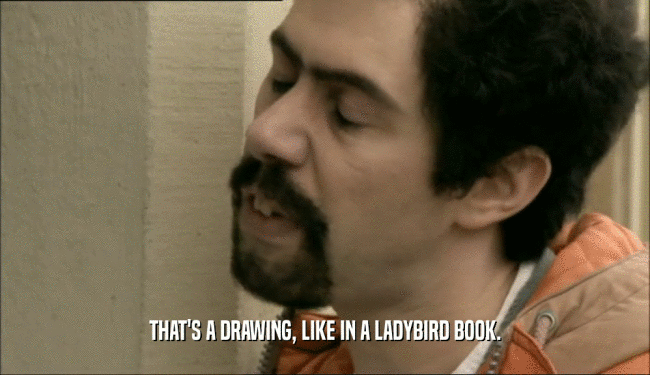 THAT'S A DRAWING, LIKE IN A LADYBIRD BOOK.  