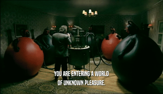 YOU ARE ENTERING A WORLD OF UNKNOWN PLEASURE. 