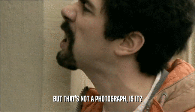 BUT THAT'S NOT A PHOTOGRAPH, IS IT?  