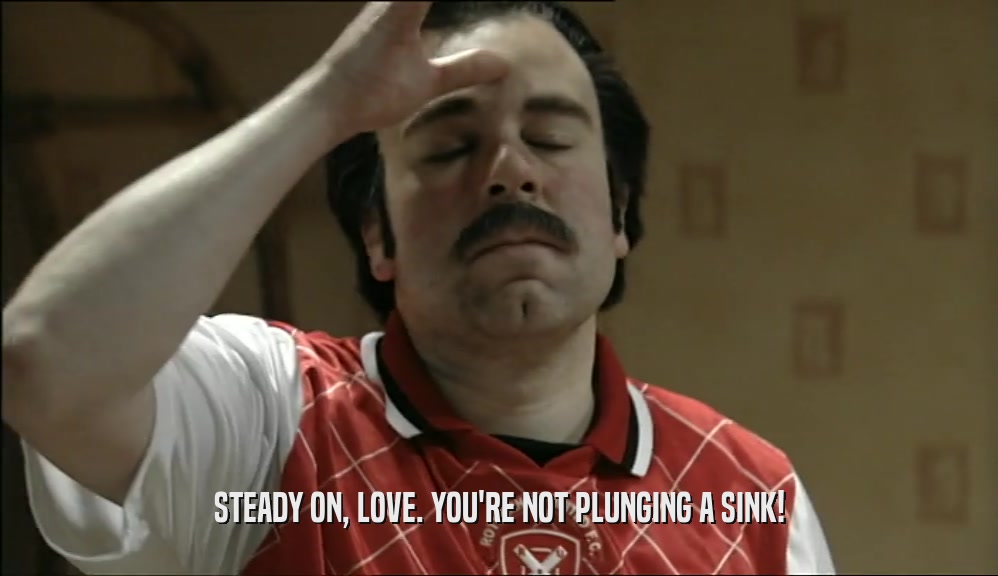 STEADY ON, LOVE. YOU'RE NOT PLUNGING A SINK!  
