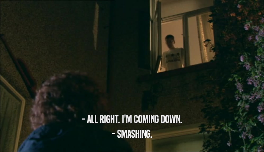 - ALL RIGHT. I'M COMING DOWN.
 - SMASHING.
 