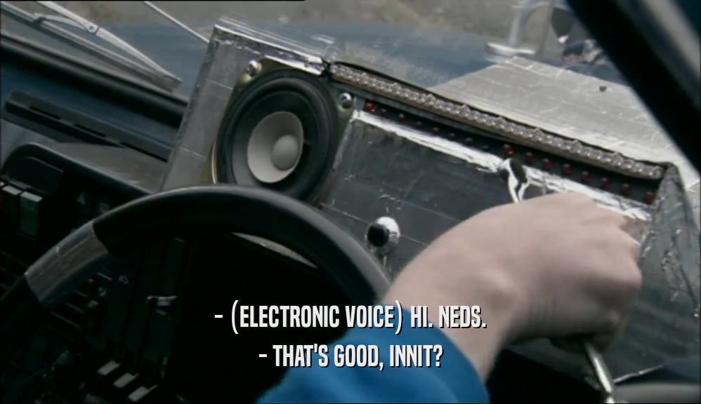- (ELECTRONIC VOICE) HI. NEDS. - THAT'S GOOD, INNIT? 
