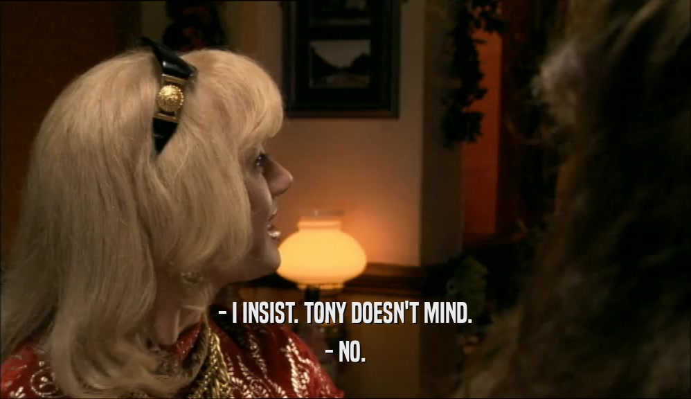 - I INSIST. TONY DOESN'T MIND. - NO. 