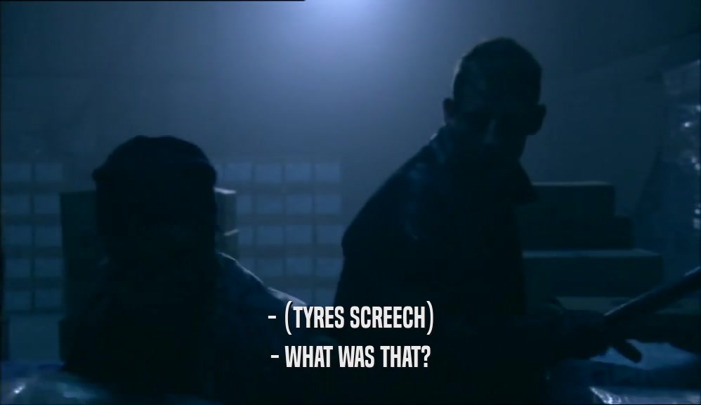 - (TYRES SCREECH) - WHAT WAS THAT? 