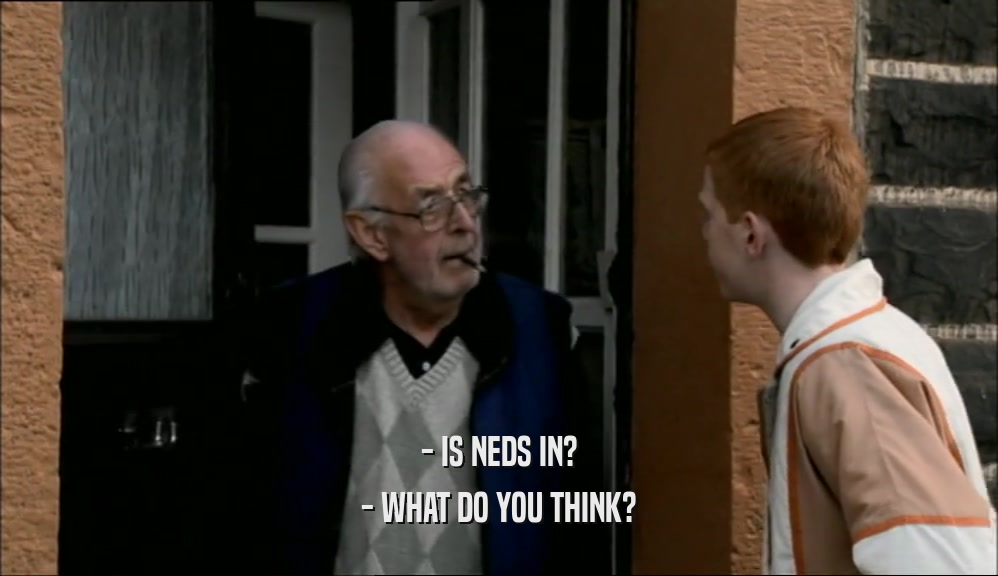 - IS NEDS IN? - WHAT DO YOU THINK? 